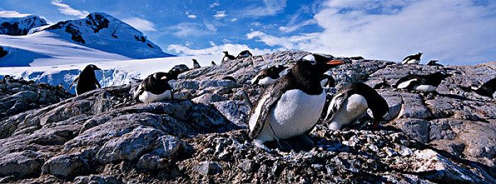 《云·原神》PC平台公测现已开启 游戏进度同步互通